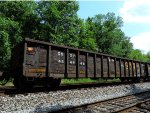 CSX 484446 (1)